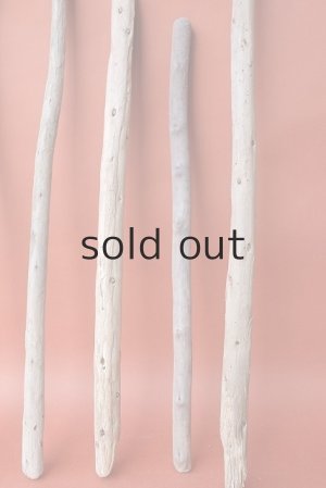 画像6: 棒流木セット