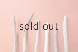 画像4: 棒流木セット