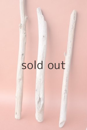 画像5: 棒流木セット