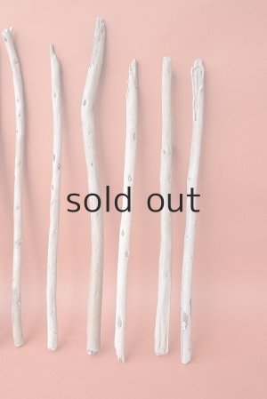 画像6: 棒流木セット