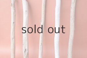 画像3: 棒流木セット