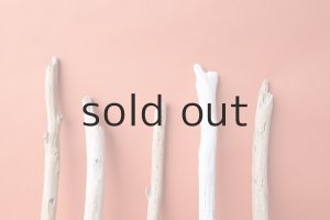 画像4: 棒流木セット