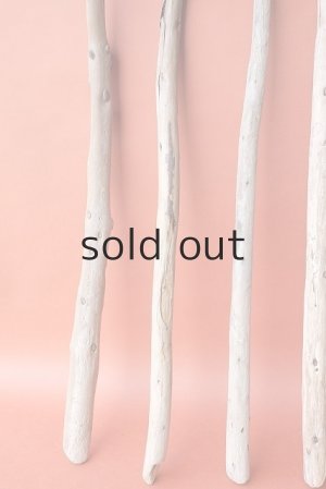 画像5: 棒流木セット