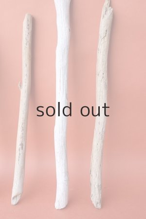 画像6: 棒流木セット