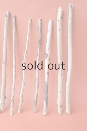 画像4: 棒流木セット