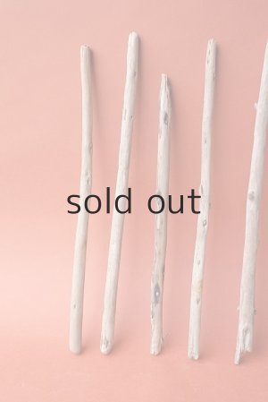 画像2: 棒流木セット