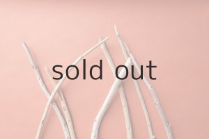 画像4: 棒流木セット