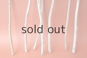 画像2: 棒流木セット