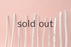 画像6: 棒流木セット