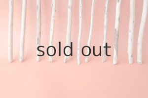 画像5: 棒流木セット