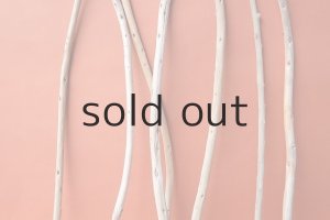 画像3: 棒流木セット