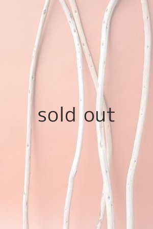 画像5: 棒流木セット