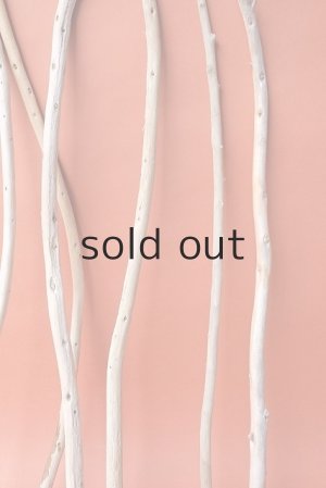 画像6: 棒流木セット