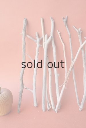 画像2: 小枝流木セット