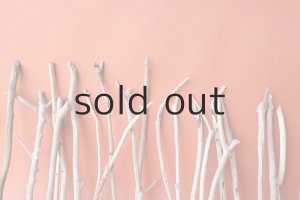 画像7: 小枝流木セット