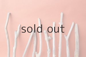 画像3: 小枝流木セット