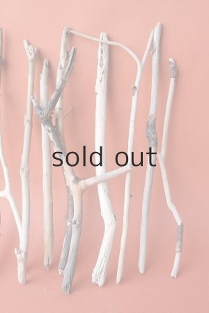 画像4: 小枝流木セット