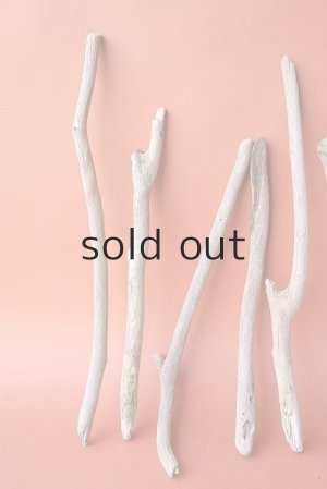 画像4: 小枝流木セット