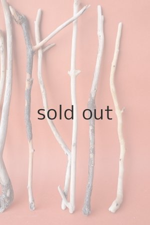 画像4: 小枝流木セット