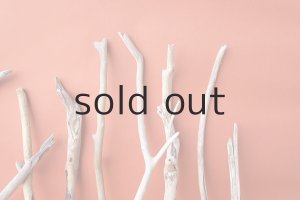 画像6: 小枝流木セット