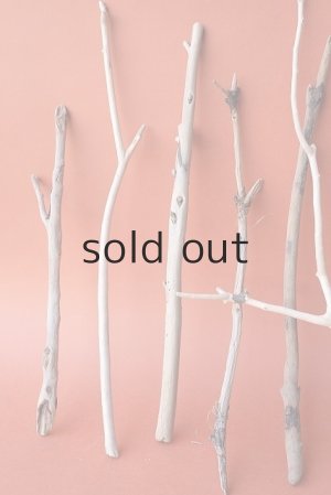 画像2: 小枝流木セット