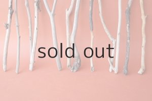 画像5: 小枝流木セット