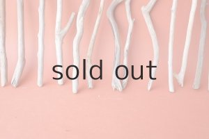 画像5: 小枝流木セット