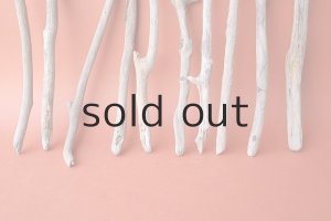 画像2: 小枝流木セット