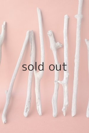 画像5: 小枝流木セット