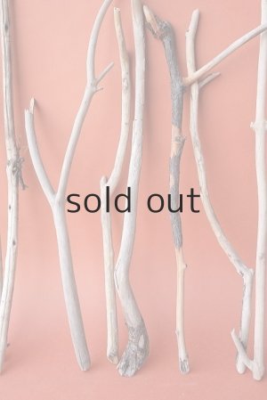 画像3: 小枝流木セット