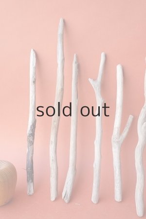 画像2: 小枝流木セット