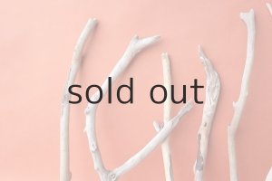 画像7: 小枝流木セット