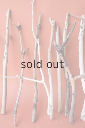 画像3: 小枝流木セット