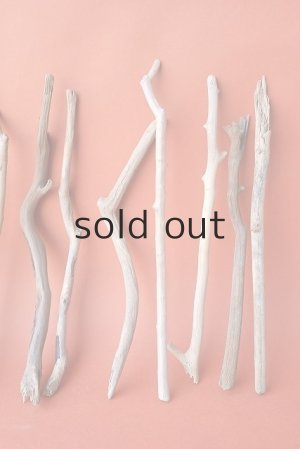 画像4: 小枝流木セット