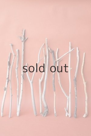 画像1: 小枝流木セット