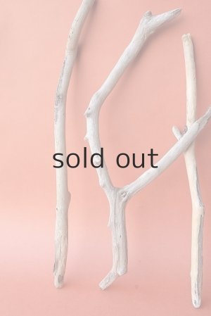 画像2: 小枝流木セット