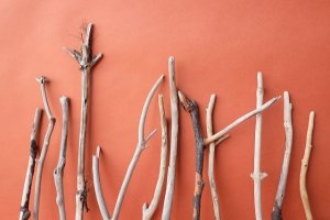 画像6: 小枝流木セット