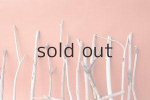 画像6: 小枝流木セット