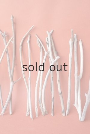 画像4: 小枝流木セット