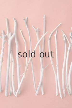 画像3: 小枝流木セット