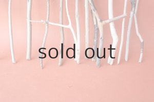 画像5: 小枝流木セット