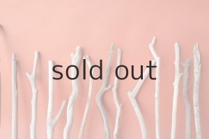 画像6: 小枝流木セット