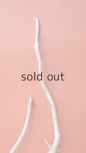 画像4: 流木根セット