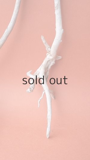 画像3: 流木根セット