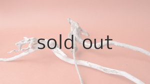 画像6: 流木根セット