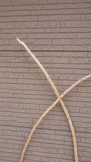 画像4: 棒流木セット