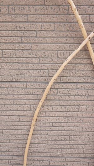 画像6: 棒流木セット