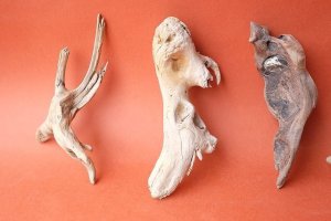 画像2: 流木根セット