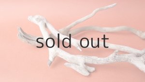 画像7: 流木根セット