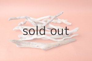 画像6: 流木根セット